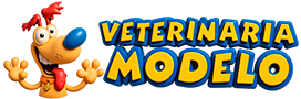 Logo Horizontal Encabezado